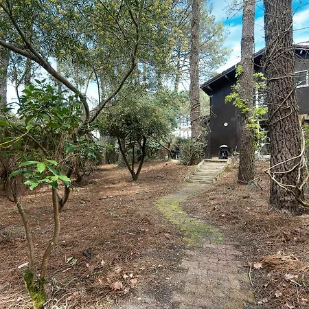Maison Entoure De Pins A 270m Du Golf A Nyaraló *